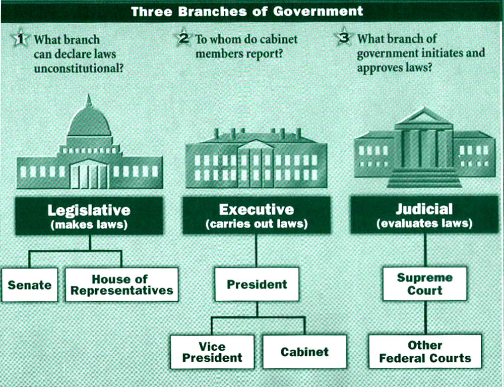 Branches Of Government Sterling White